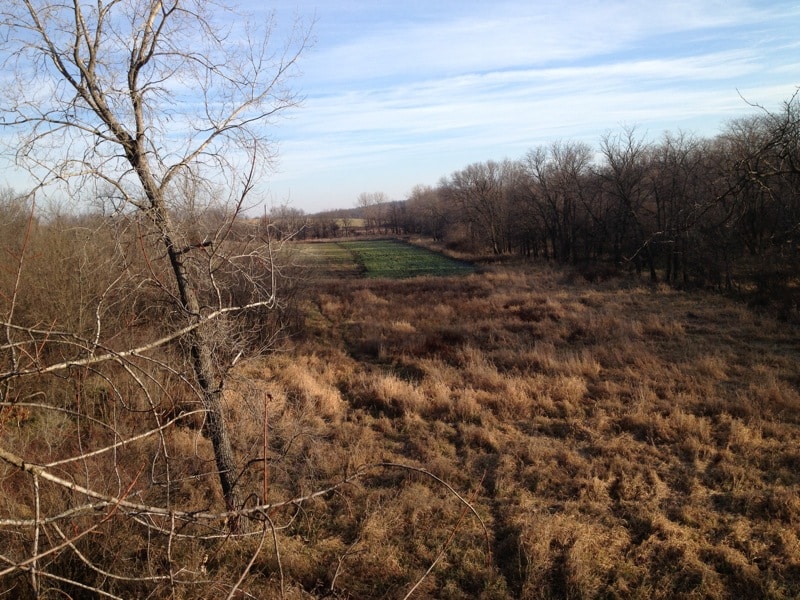 view from stand - distant food plot - Iowa