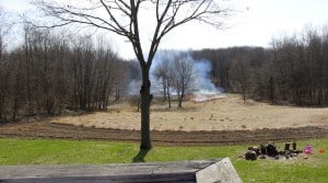 burning switcgrass field to enhance deer habitat
