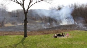 switchgrass controlled burn fire, southwest Michigan