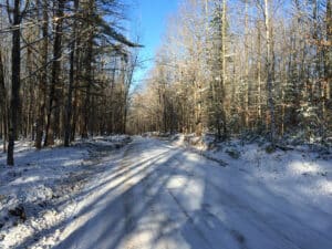 pigeon river forest after snow