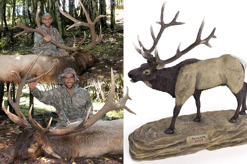 wood carving elk by John Erdody III - Jarrod's Arizona elk