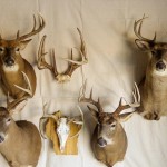 trophy deer hunting land for sale by owner - buffalo county wisconsin