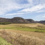 buffalo county land for sale by owner - 84 acres Fountain City