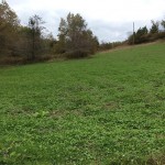 micro food plot on land for sale by owner, Modena