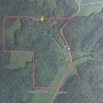 aerial of hunting land for sale