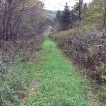 wisconsin hunting land for sale - access trail