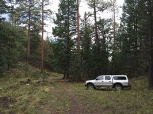 elk hunting new mexico Datil Mountains