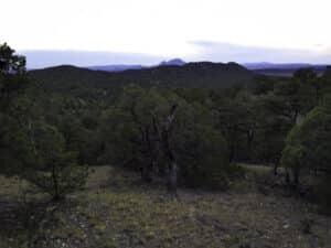DIY elk hunt New Mexico - Unit 13