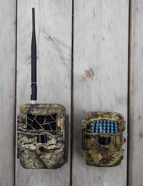 scouting with cellular trail cameras