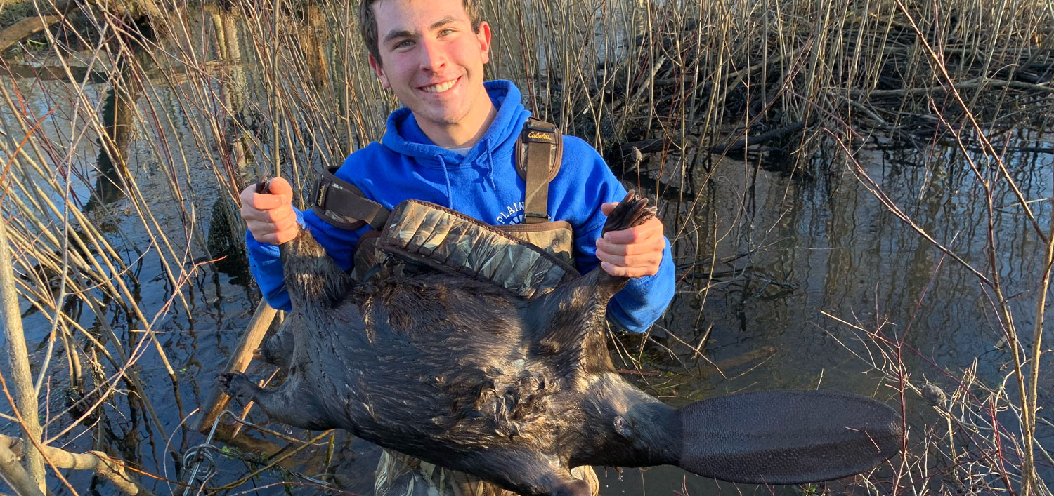 beaver trapping with conibear sets